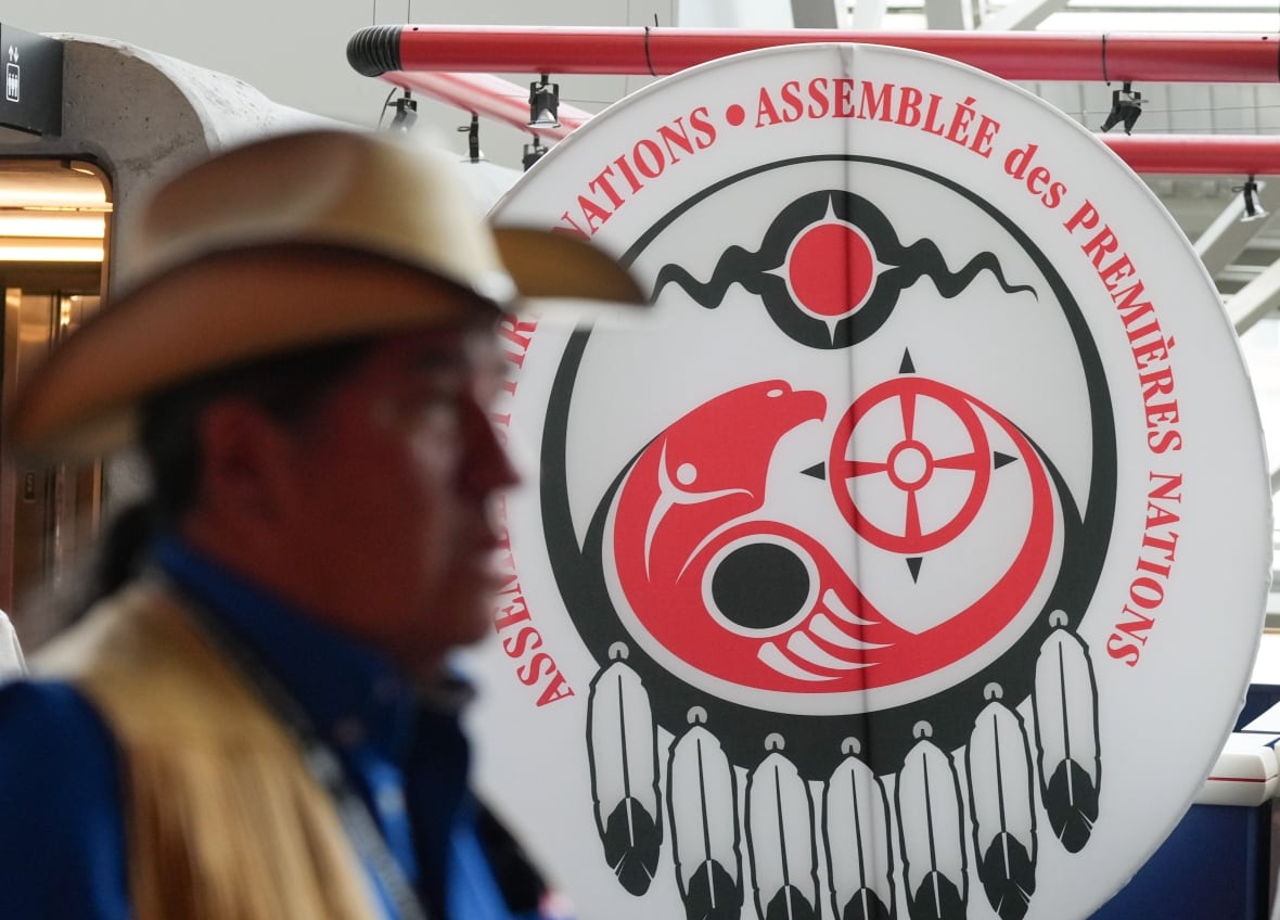 AFN National Chief rejects 'outlandish, disrespectful' Trump remarks on Canada joining U.S.