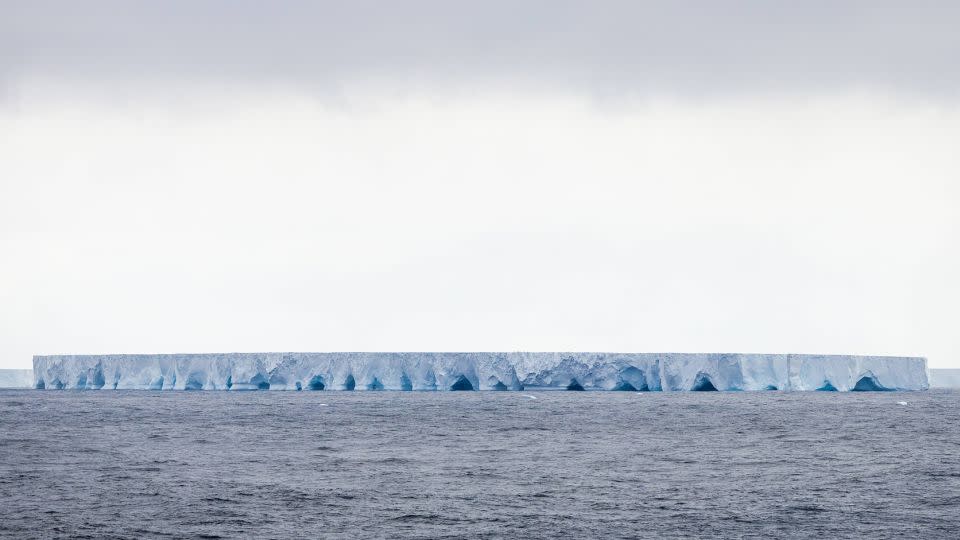 Fears that the world’s biggest iceberg could hit island in the South Atlantic