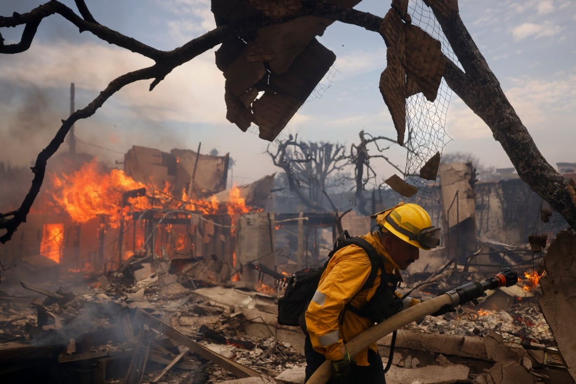 Why are trees still standing next to burned-out buildings in Los Angeles? The answer is simple