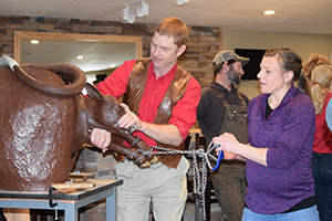 Advanced beef cow calving clinics scheduled for Jan. 13