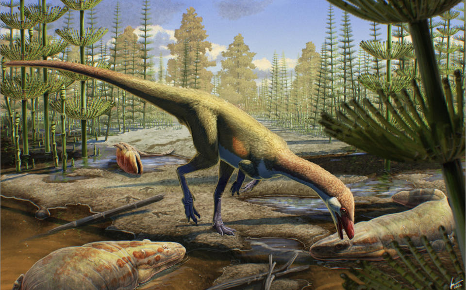 Fossil Discovery Rewrites Global Dinosaur History