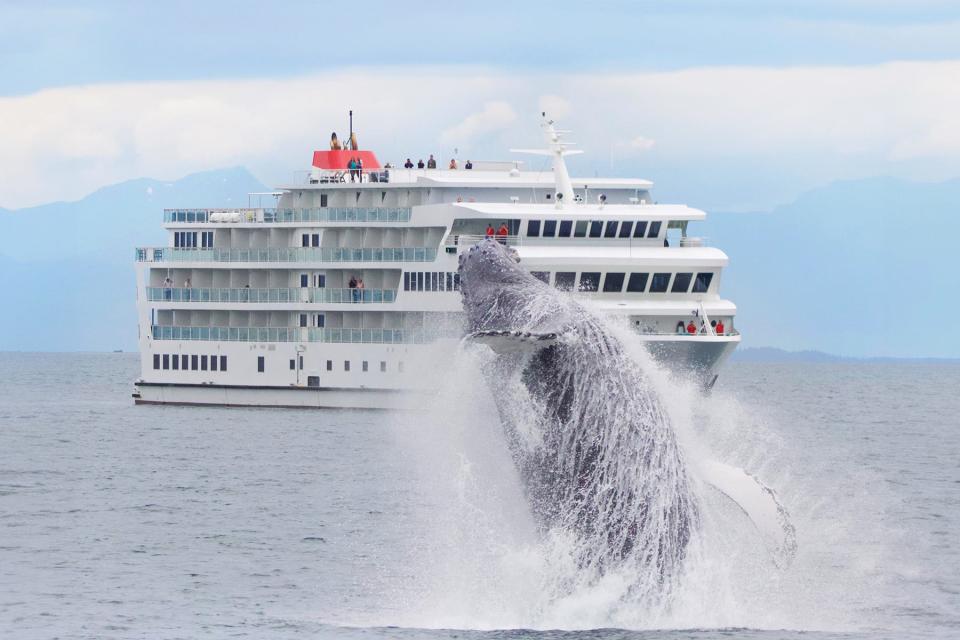 Stay overnight in Glacier Bay National Park on these Alaska cruises