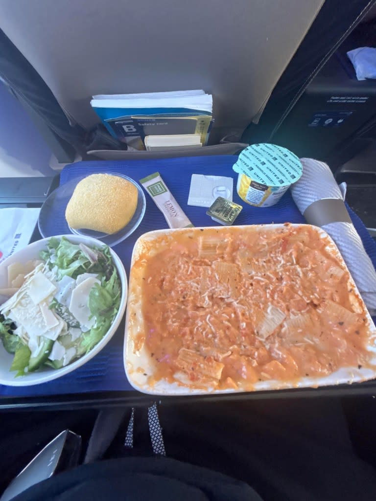 Plane passenger shocked by extreme ‘downgrade’ in meal quality between flights only days apart