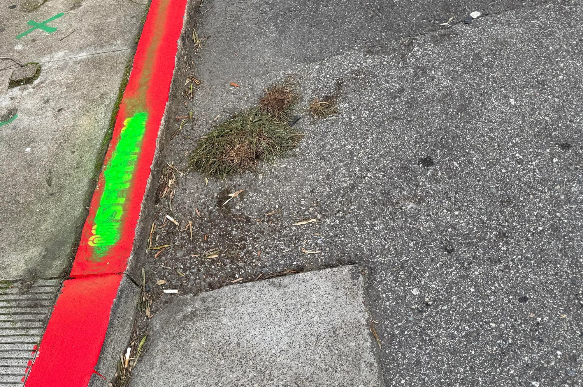 Parking Vigilante Paints Fake ‘No Parking’ Curbs In Richmond District as Daylighting Laws Kick In