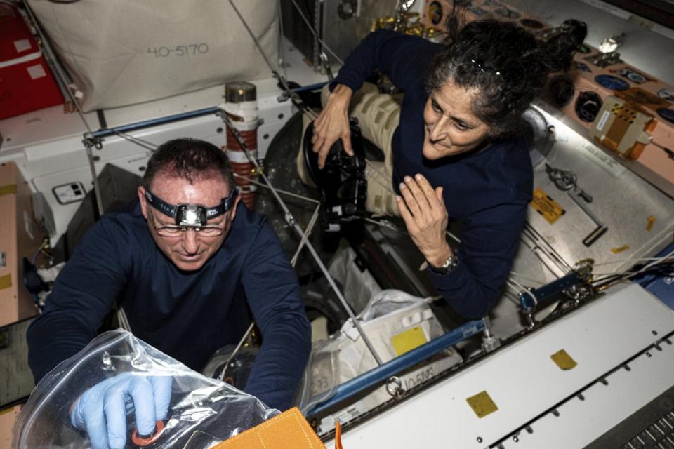 Microgravity in space may cause cancer − but on Earth, mimicking weightlessness could help researchers develop treatments