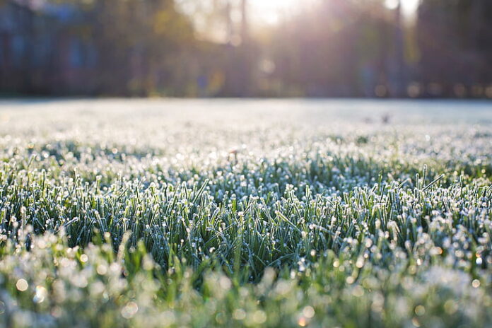 Gardeners, tell Jack Frost to hit the road (and don’t come back)