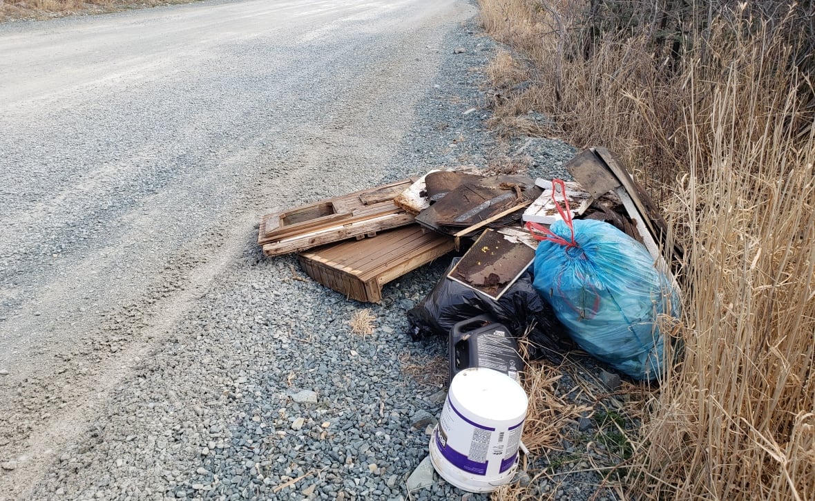 Diapers, couches, and kitty litter: city residents frustrated by illegal dumping around George's Pond trails