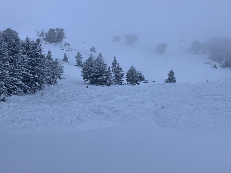 Big Cottonwood Canyon avalanche partially buries one skier