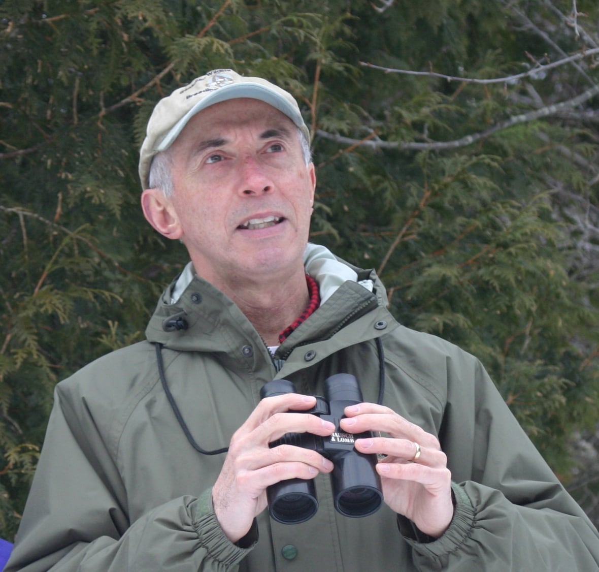 176 species of birds seen so far this winter — a record number, says Nature N.B.