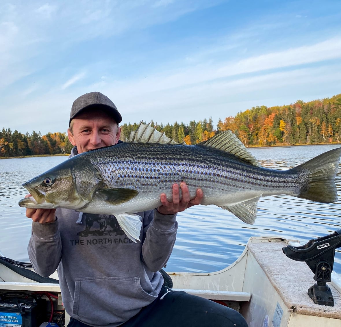 Group formed in P.E.I. to fight for striped bass protection after DFO ups allowable catch