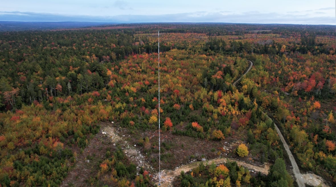 Halifax wind energy deal to cut city emissions by 24%