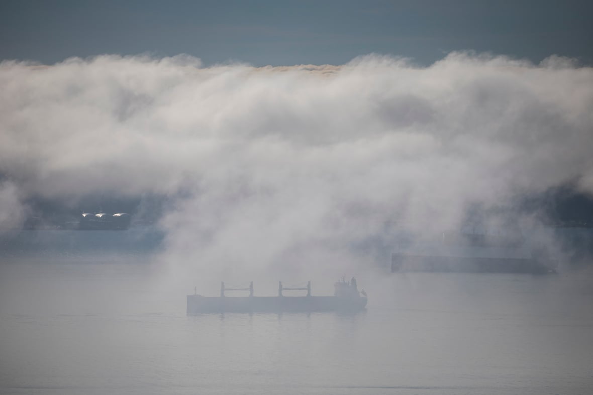 Winter isn't cancelled just yet, Environment Canada says, following mild December for much of B.C.