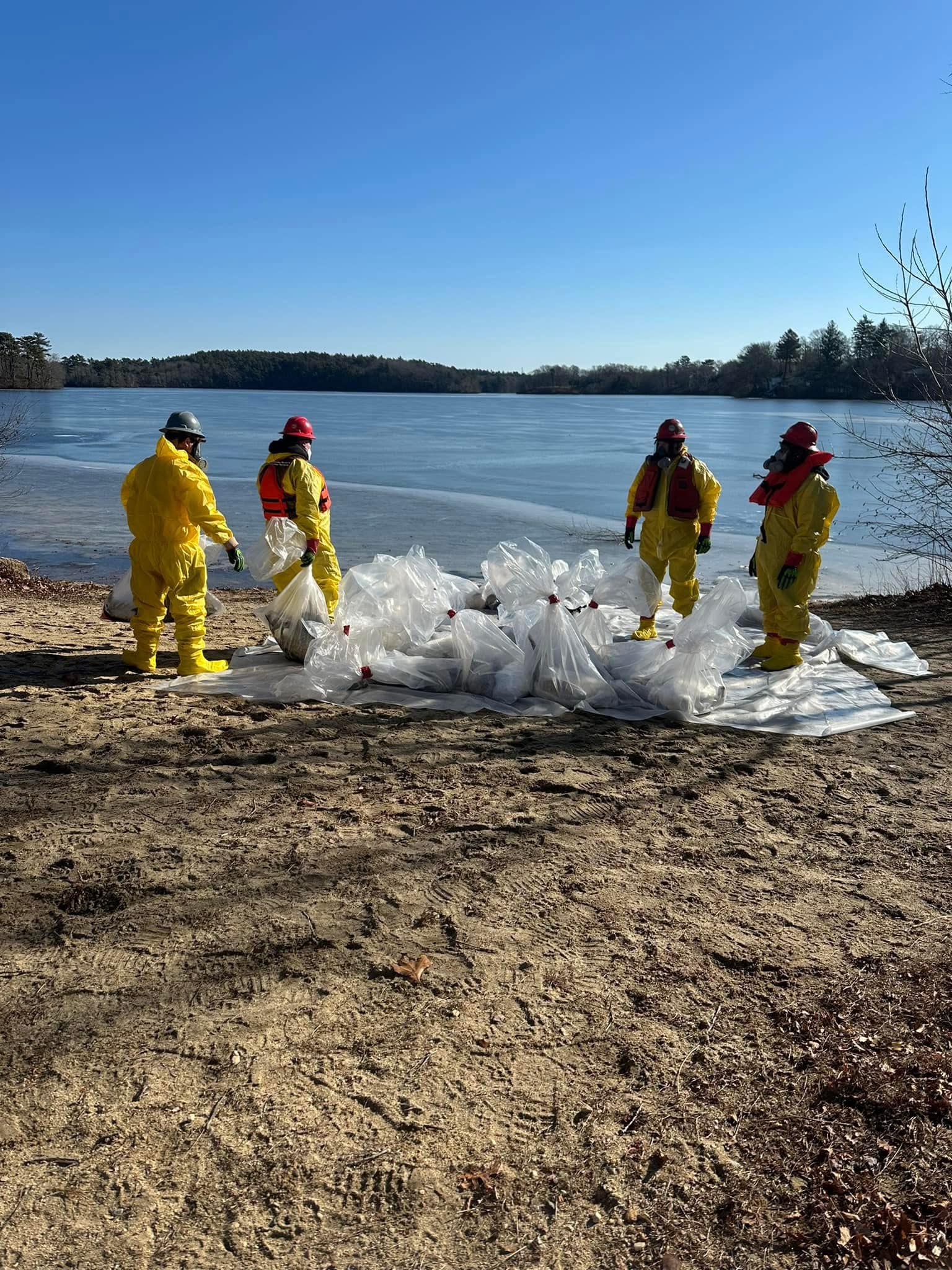 Avian flu suspected at Billington Sea – NECN