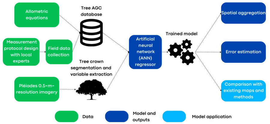 Unlocking precision in carbon stock mapping: a new AI-driven approach