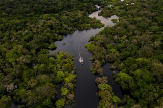 A guide to visiting the Amazon rainforest responsibly