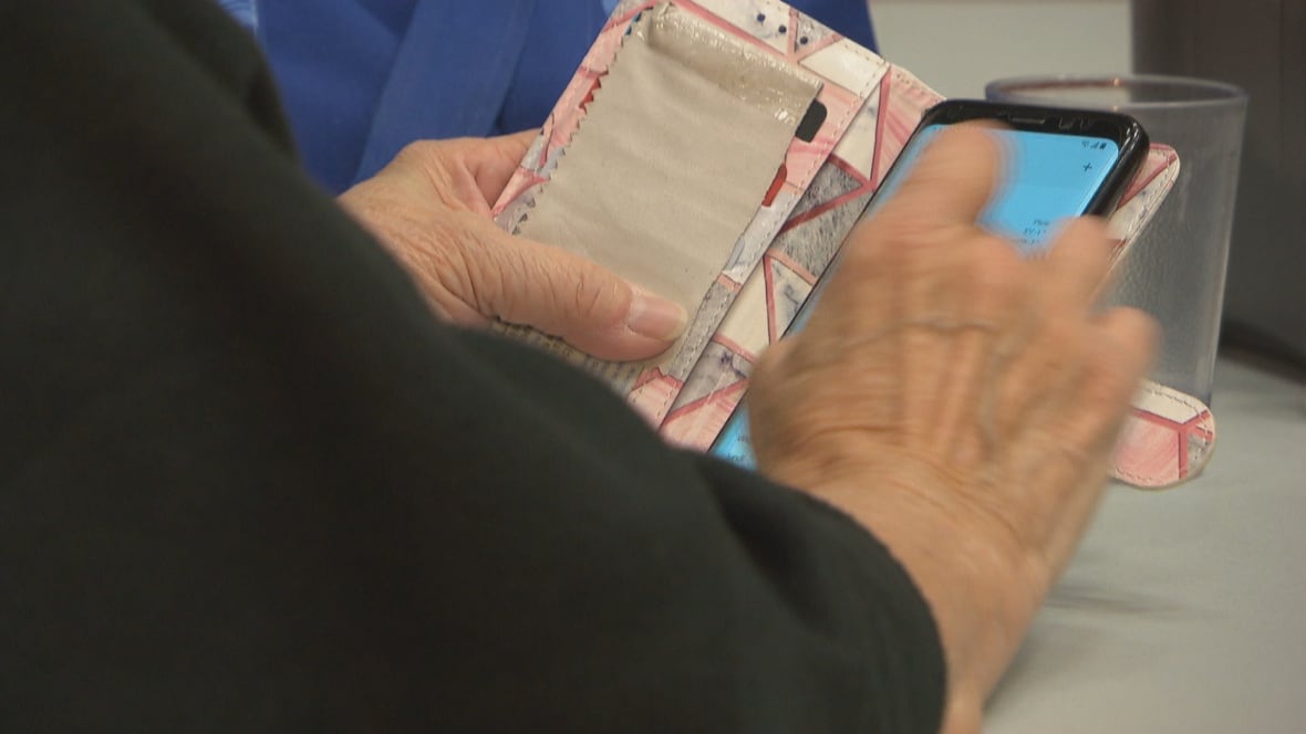 Pilot program to help N.S. seniors combat isolation seeks to become permanent