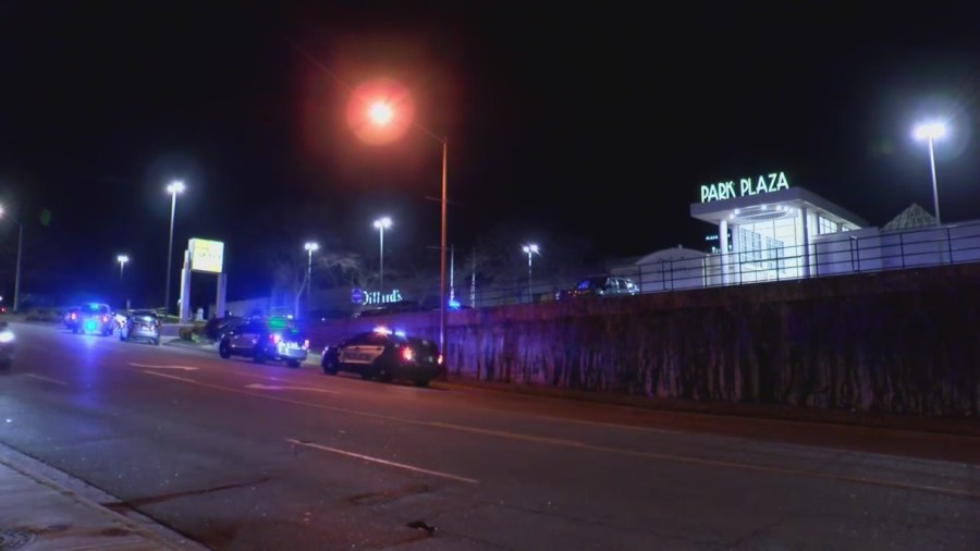 Park Plaza shoppers ‘shocked’ after woman was shot, killed in mall parking lot