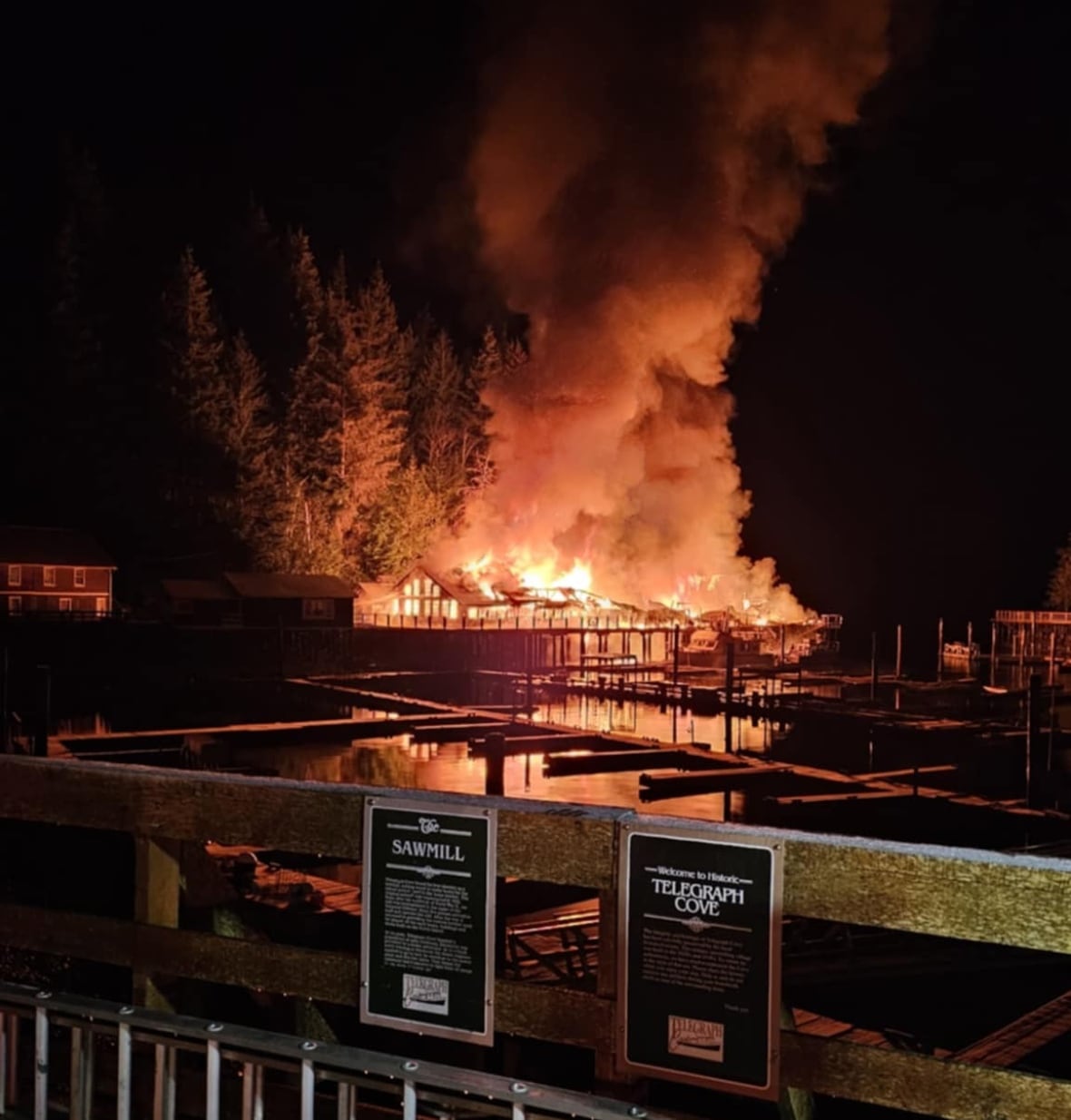 Renowned whale museum lost to fire in B.C.'s Telegraph Cove was a 'labour of love'