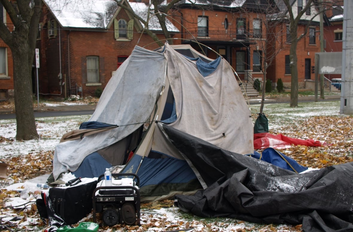 Hamilton council votes to restart ban on tents in parks starting in March