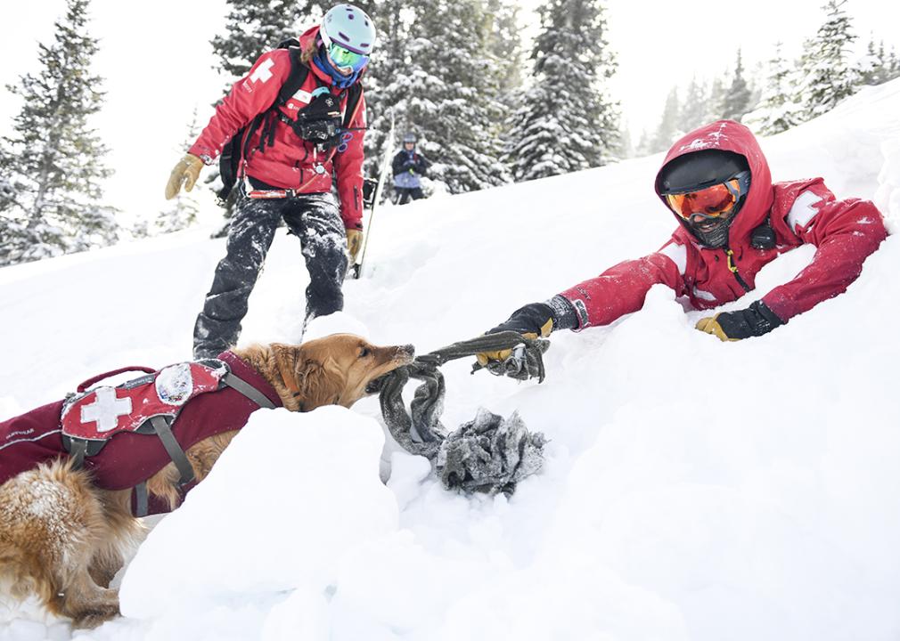 Avalanches: What causes innocent-looking snow slopes to collapse? A skiing physicist explains, with tips for surviving