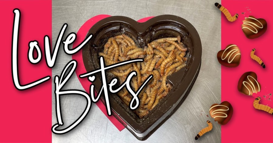 Show someone how you feel about them with Honolulu Zoo's 'Love Bites'