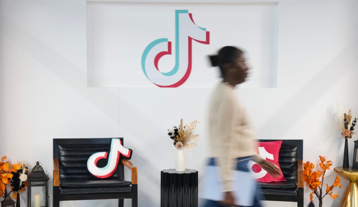 TikTok, Meta 'chaos' reminds Canadian businesses of the value of diversification