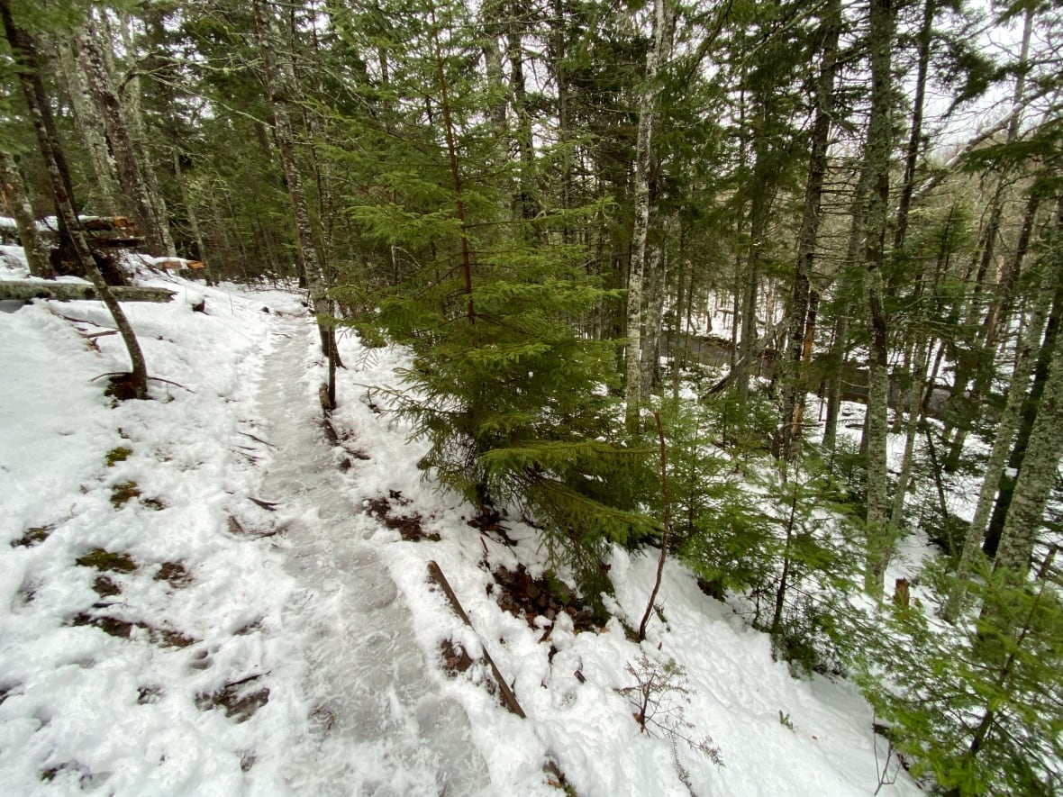 Proper planning, layering key to safe and fun winter hikes on P.E.I., says Island Trails