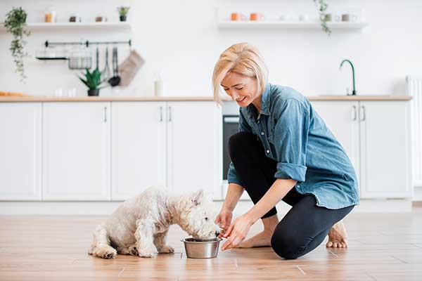 4 Vet-Approved Tips to Show Your Pets Love this Valentine's Day