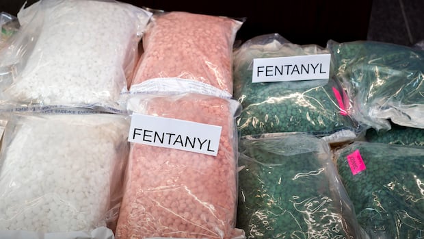 Want to get rid of fentanyl? Tackle money-laundering first, say experts