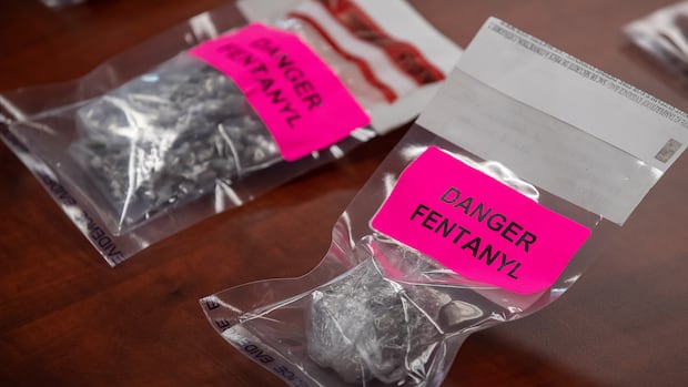 Police are cracking down on fentanyl in Canada but say it has nothing to do with Trump