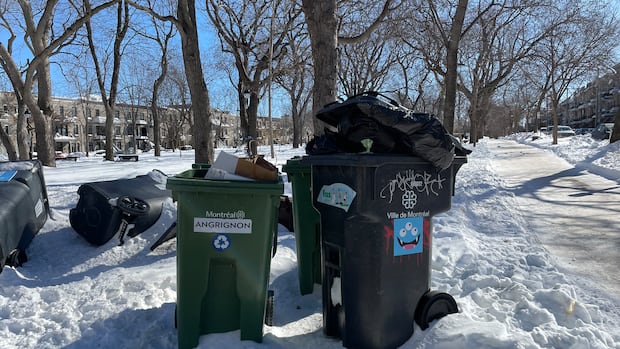 Expect snow removal to take another week, Montreal says