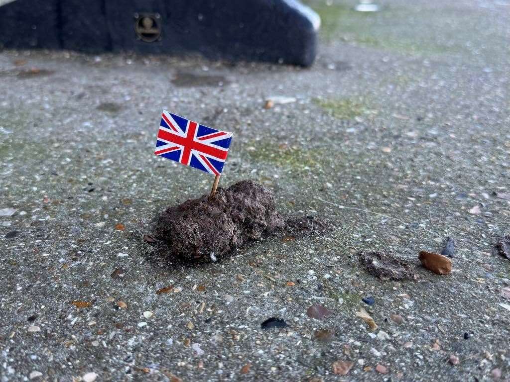 Union Jack flags stuck in dog poo left along Sheerness Beach