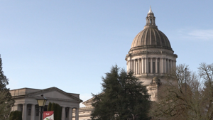 A look at what’s moving along, and what’s not, in the Washington legislature | News