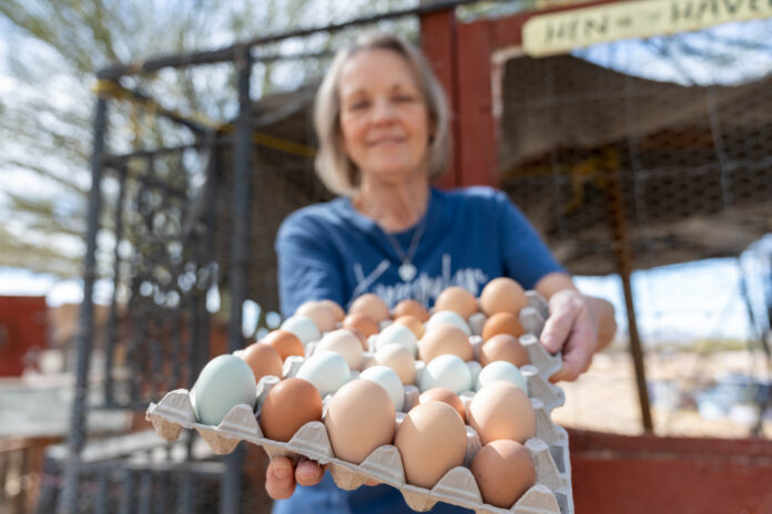 Raising Hen: Local consumers turn to farm fresh eggs during shortage