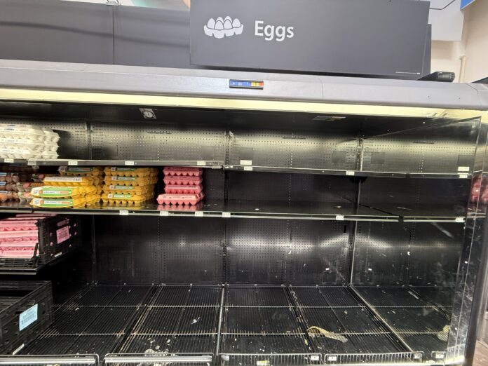 2 Maricopa grocers limiting egg sales amid shortage, empty shelves