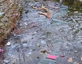 Acacia Hall pond in Dartford vandalised after men throw large rocks and foliage at fish