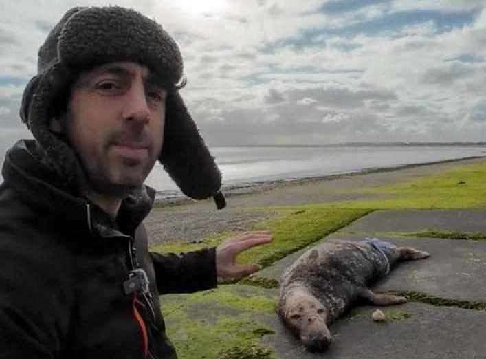 Seal found dead on Pegwell Bay, Ramsgate 'appears to have been shot'