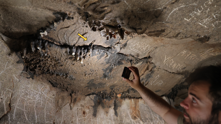 1,900-year-old Roman sanctuary and coin found in flooded Spanish cave