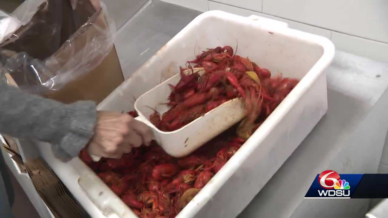 Crawfish prices drop just in time for Valentine’s Day