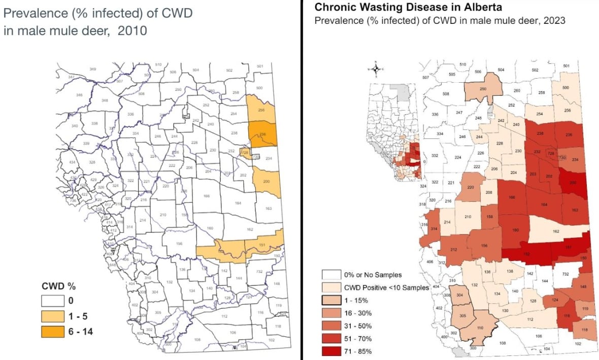 Chronic wasting disease has exploded through Alberta's deer population. Can it be stopped?