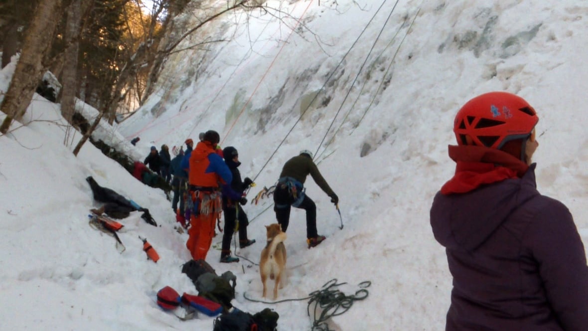 Climbers travel hours for frozen waterfall challenge in Sussex