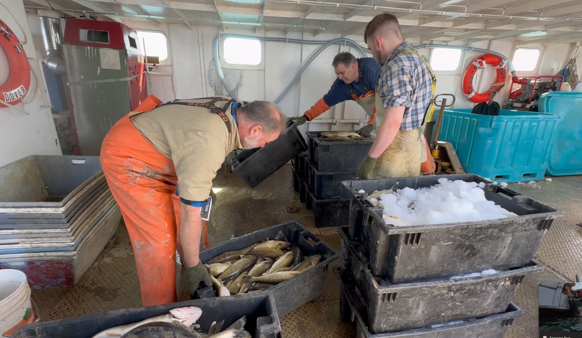 Lake Erie boat captains hope new documentary about them pulls back curtain on fishing for a living