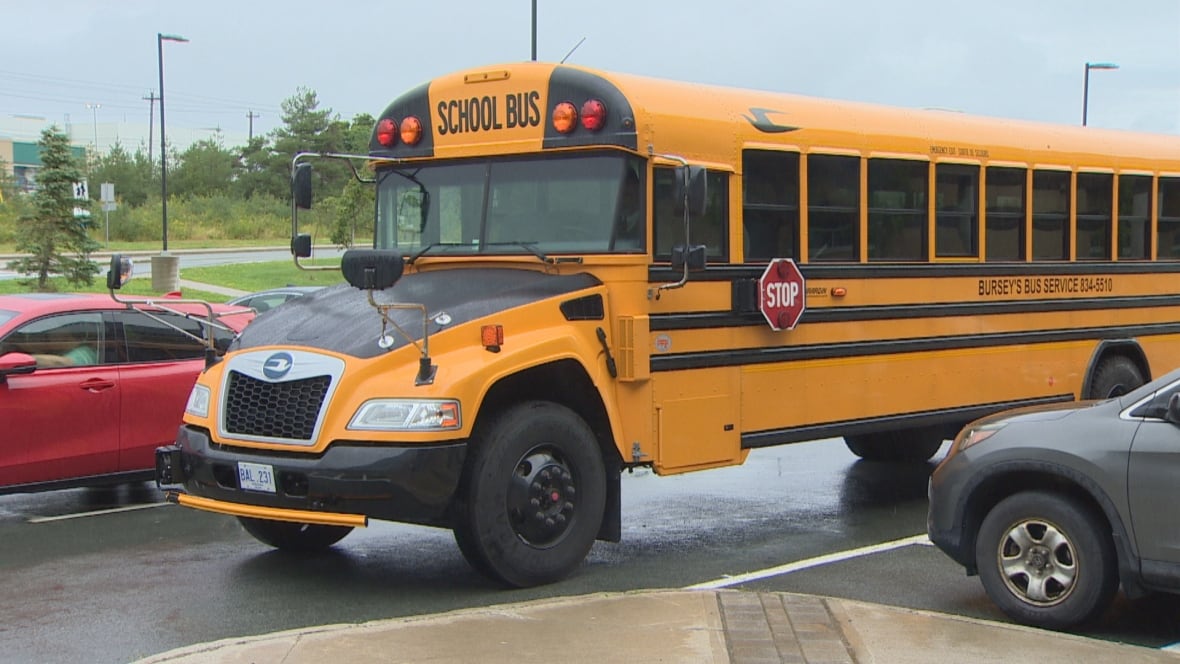 N.L. government hitting brakes on plan to make arts, French optional for middle schoolers