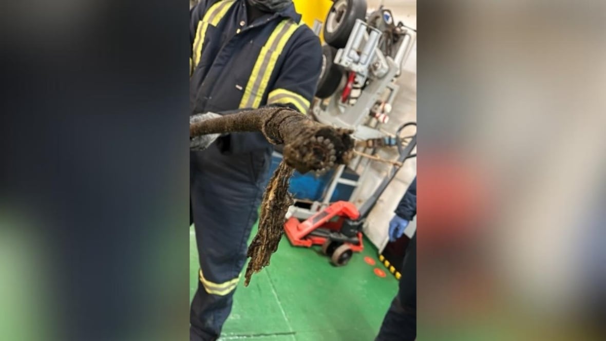 Subsea fibre optic cable deliberately cut for the 2nd time between N.S. and N.L.