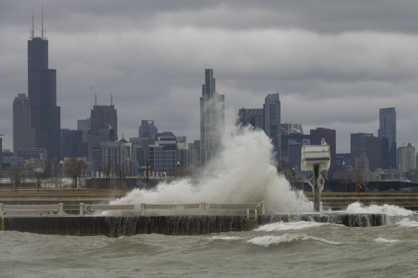 How we photographed the toll of bird flu in Chicago