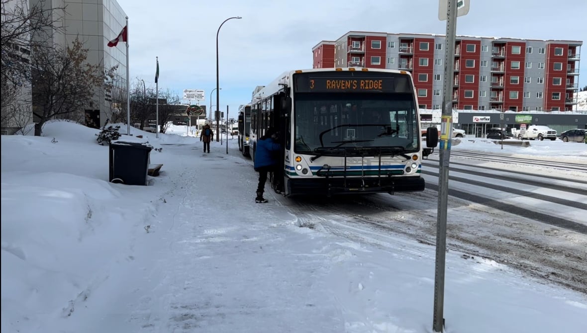 Whitehorse city council urged to pause transit fare hike, expand service